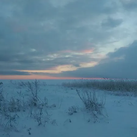 Toominga Seaside * Koiguste