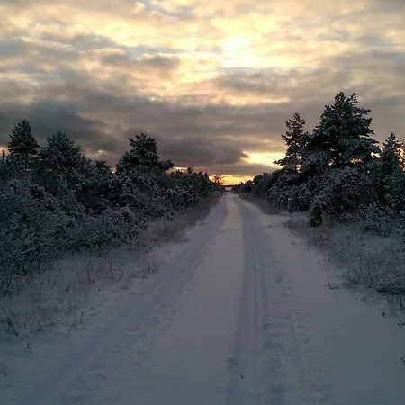Toominga Seaside Hébergement de vacances Koiguste