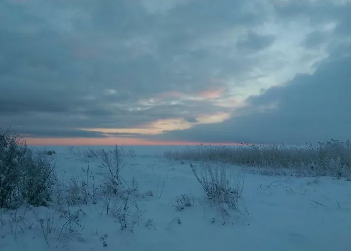 Toominga Seaside * Koiguste