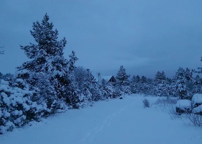 Toominga Seaside Vakantiehuis *