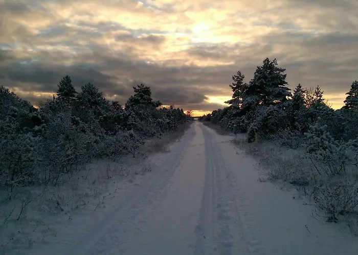 Toominga Seaside Vakantiehuis Koiguste