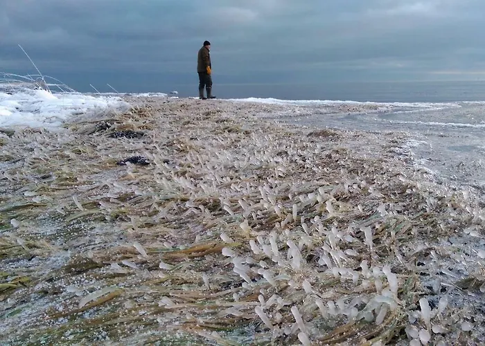 Toominga Seaside Vakantiehuis